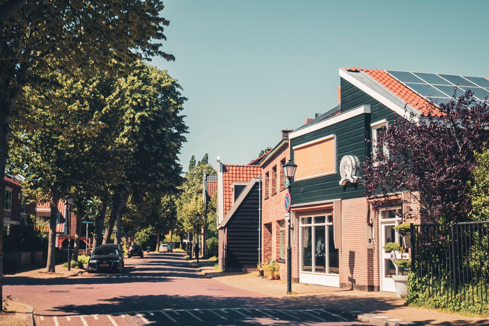 Słoneczna ulica mieszkalna w Zaandam z drzewami i kamienicami