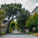 Spokojna ulica w mieście, drzewa i kamienice w cichej dzielnicy blisko centrum